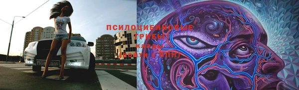 бошки Новодвинск